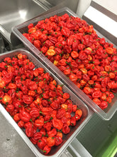 Load image into Gallery viewer, JaJa's Pepper Sauce - Jaja's Kitchen